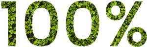 100 procent